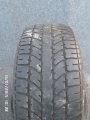 PL0619(2) M ZEM